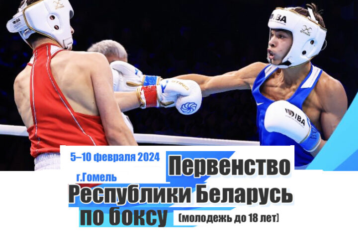 Первенство Республики Беларусь по боксу среди молодежи - 2024 г. Гомель
