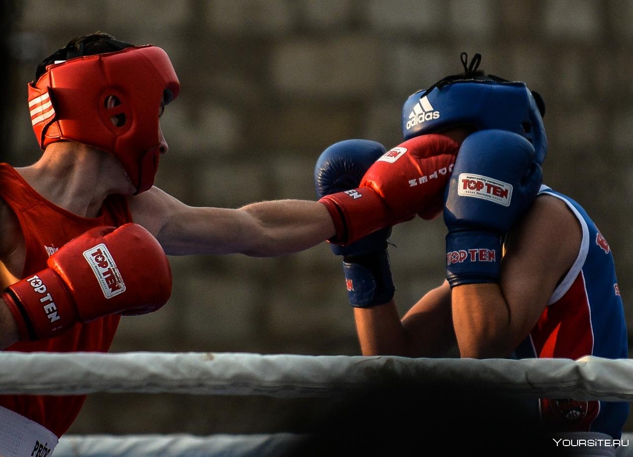 Лучшие спортсмены